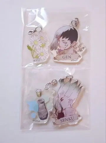 Dr.STONE 이시가미 센쿠 아사기리 겐 아크릴메트리 독스트