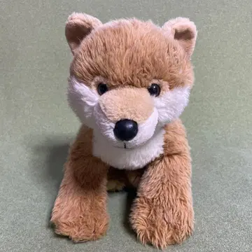 초레어! 빌드어베어 시바견 시바이누 봉제 인형