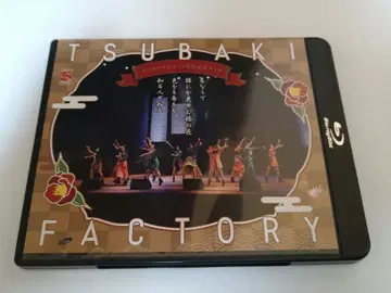 츠바키 팩토리 메이저 데뷔 5주년 기념 라이브