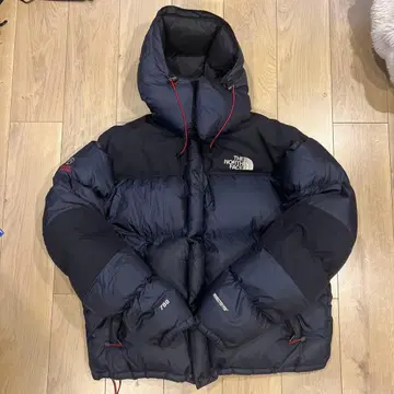 THE NORTH FACE summit series 다운 자켓