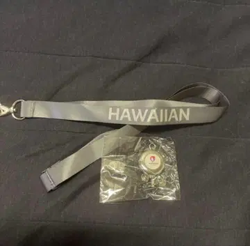 레어! 하와이안 항공 스트랩