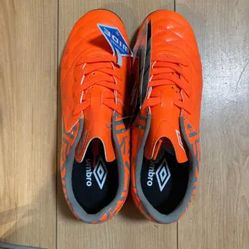 Umbro 실내 신발 새상품 23.5cm