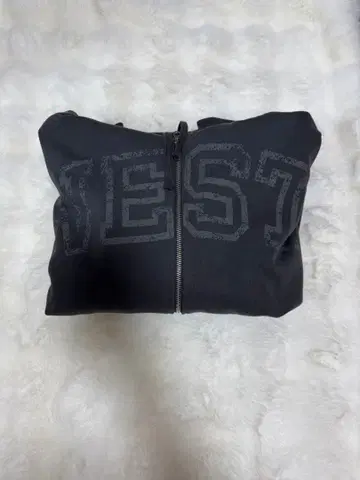 WEST. 후지이 류세이 후드티