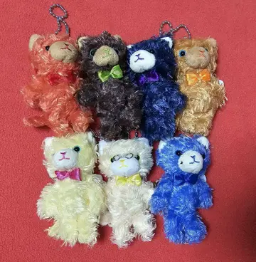 쁘띠 프린스 캣 스타리쉬 세트