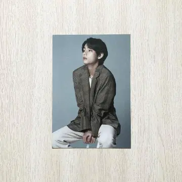 BTS BEYOND THE STAGE 특전 V