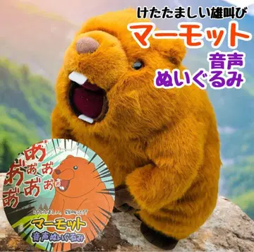 시끄러운 수컷 울음소리 마모트 봉제 인형