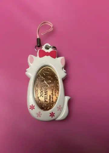 마리 수베니어 메달 케이스 키링 스트랩 Disney