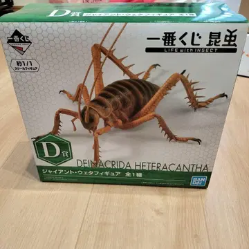 자이언트 웨타 D상 피규어 곤충 벌 레어 원형