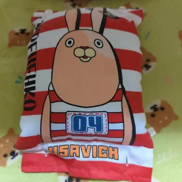 우사비치 키레넨코