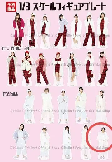 안쥬르므 하시사코 린 1/3 스케일 피규어 플레이트 예약 한정품