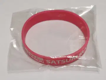 스가와라 사츠키 실리콘 밴드 초 노기자카 스타 탄생 라이브