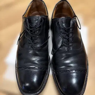 알렌 에드몬즈 바이런 25.5cm