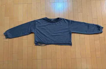 ANAP 그레이 긴팔 티셔츠 사이즈 F