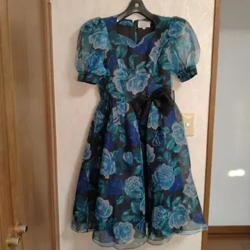 하나에모리 블루 계열 꽃무늬 쉬폰 오간자 포멀 드레스