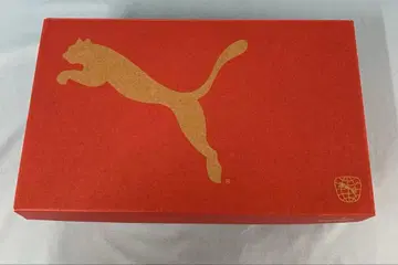 시노미야 나츠키 콜라보레이션 스니커즈 ST RISH 모델 24cm