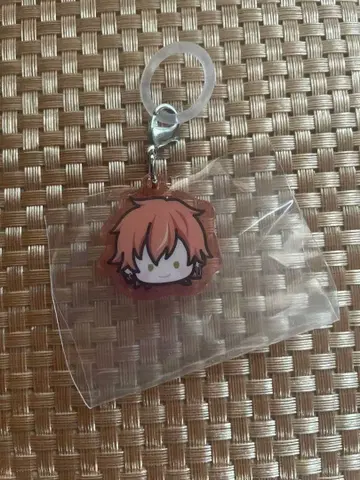 프로세카 메지루시 참 아키토