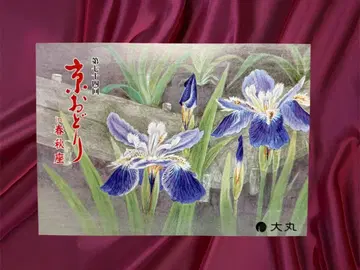 [ 레어품 ] 교토 미야가와초 마이코 게이코 교오도리 팜플렛