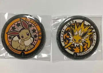 포켓몬 포케후타 이부스키 캔뱃지 이브이 썬더 세트