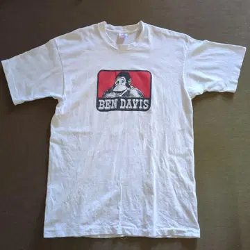 빈티지 BEN DAVIS 프룻 오브 더 룸 T셔츠 90s USA제