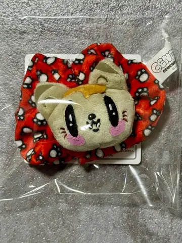 4세대 고양이 시라하마 아란 스크런치