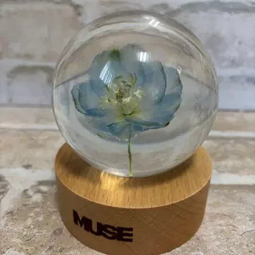 BTS JIMIN MUSE Paper Weight 페이퍼 웨이트