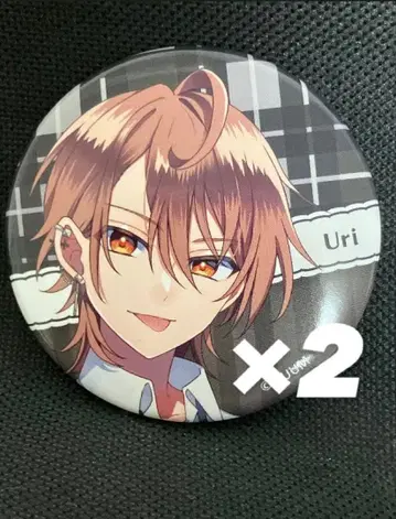 컬러풀피치 카라피치 우리 카라피치 파라다이스 캔뱃지