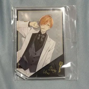 닐 애드미라리의 저울 우카이 쇼고 OPG 아크릴 스탠드