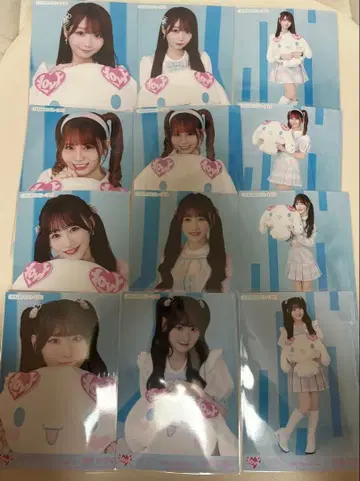 이코러브 시나모롤 브로마이드 전 멤버 컴프