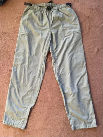 Patagonia 라이트 그린 카고 팬츠