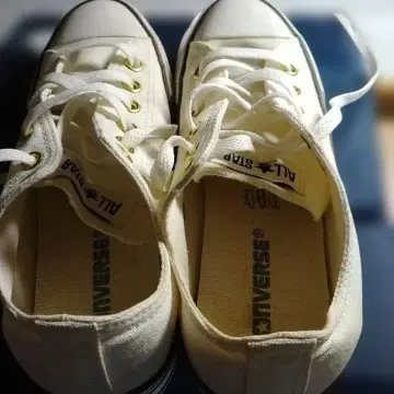 CONVERSE ALL STAR 화이트 금일 한정