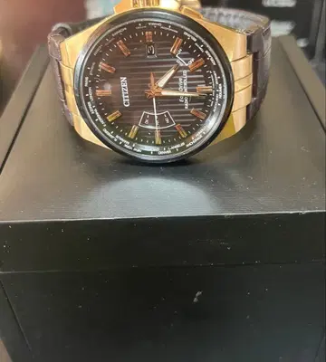 Citizen Eco-Drive 골드 블랙 시계