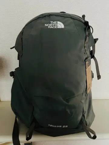 THE NORTH FACE TELLUS 25 백팩