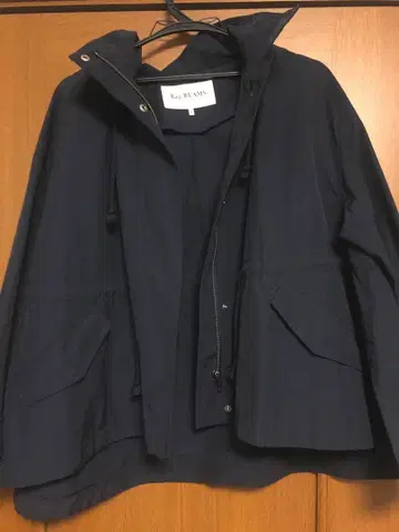 Ray BEAMS 레이빔즈 플레어 마운틴 후드티 네이비 navy