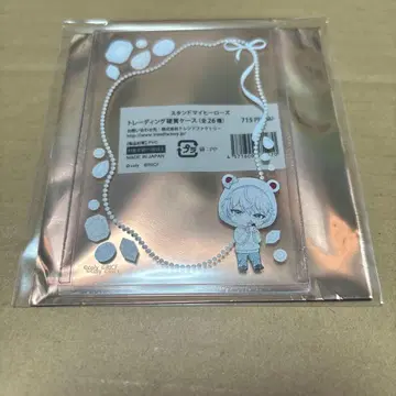 스타마이 롤 아이스 카나메 경질 케이스