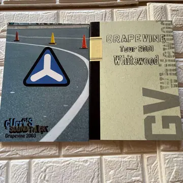 GRAPEVINE 팜플렛 2권 세트 덤 포함