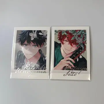 기븐 파샤코레 PREMIUM 컬러 마후유 릿카