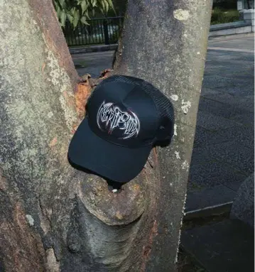 ANTIMID 메쉬 캡 블랙