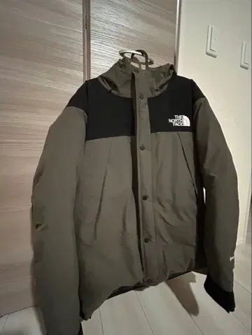 THE NORTH FACE GORE-TEX 다운 자켓