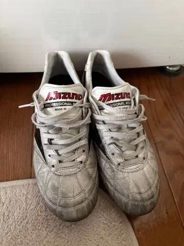 모렐리아 2 JAPAN 크로스 스티치