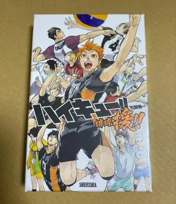 하이큐!! 배구원!!