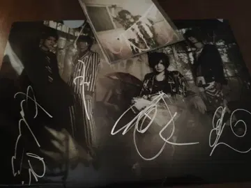 [ 친필 사인 ] Plastic Tree 투어 암모나이트 클리어 파일 외