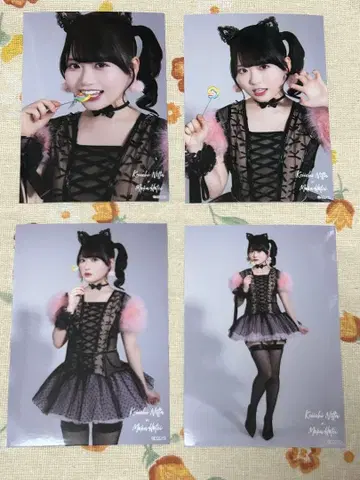 AKB48 다이마루 도쿄 의상전 브로마이드 헝겊 가방 모모카 컴프