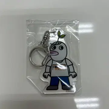 Novelbright 타케나카 유다이 저스틴