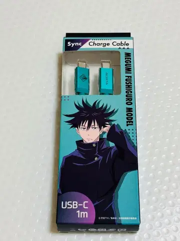 USB-C 충전 케이블 1m MEGUMI FUSHIGURO