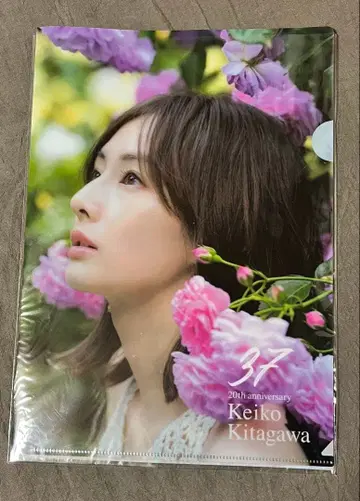 키타가와 케이코 클리어 파일 2장 세트