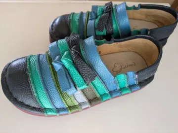 Etnies 컬러풀 가죽 신발