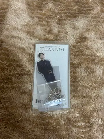 wayv 텐 아크릴 스탠드 phantom