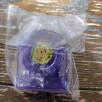 G1 레이스 팬퍼레 도쿄 나카야마