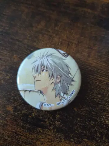 에반게리온 나기사 카오루 제일복권 캔뱃지