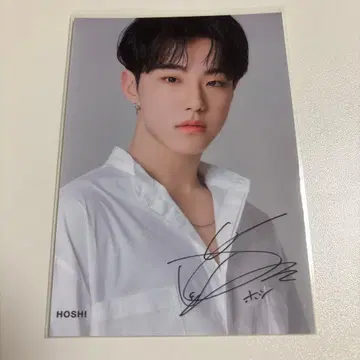 SEVENTEEN 2021 CALENDAR 아더컷 호시 L판